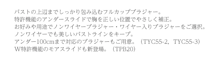 ブラジャーの機能説明